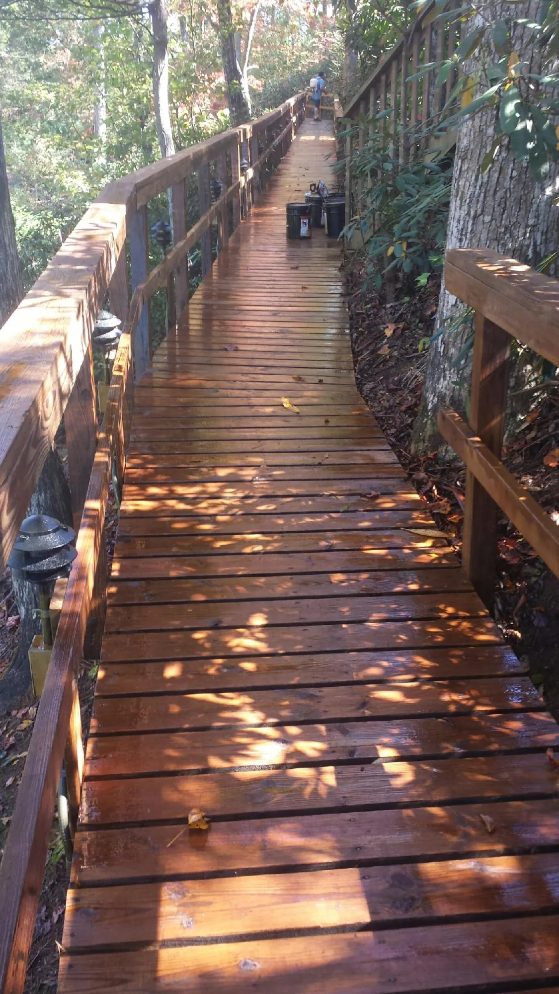 Freshly stained wood walkway winding through the woods in Carsonville